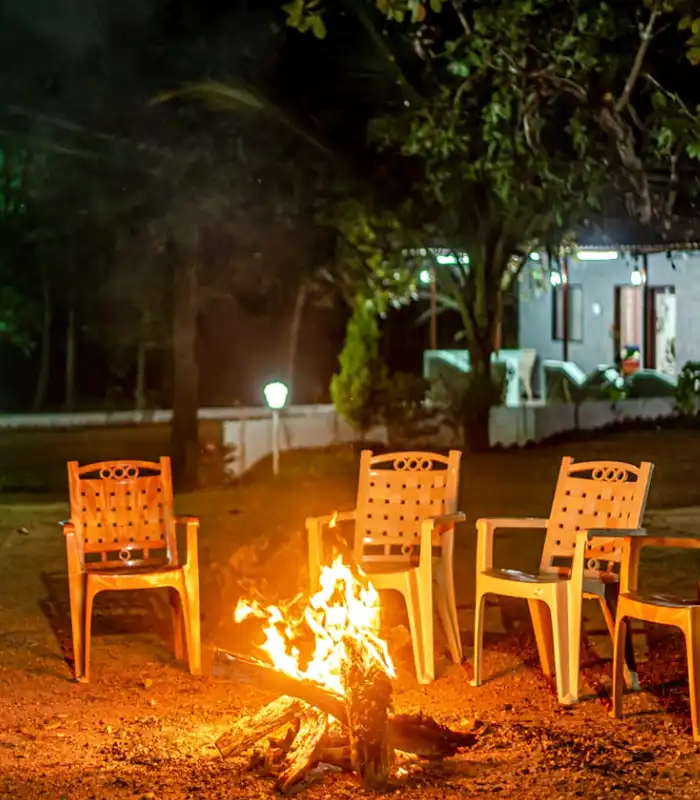 sahyadri jungle stay dandeli